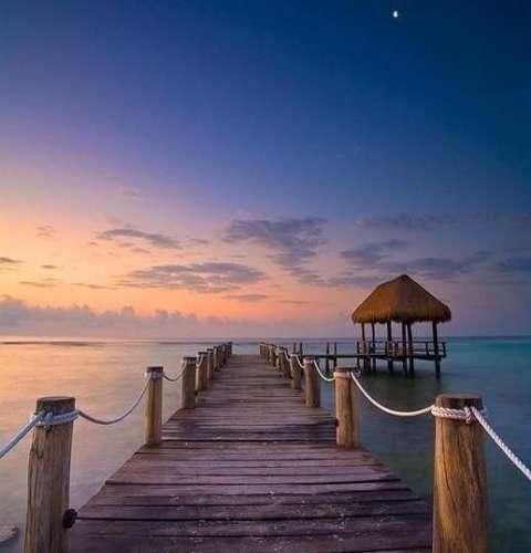  هنوزم میخوامت ولی خیلی ازت دلخورم