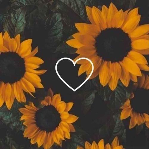 دانلود آهنگ اومد و دستمو گرفت یه دفعه زد زیر دلش