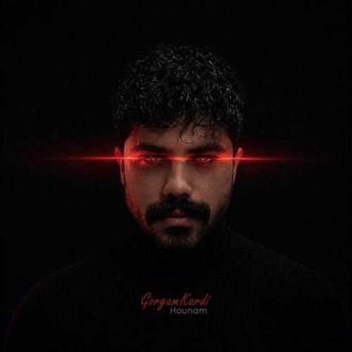 دانلود آهنگ جدید گرگم کردی از هونام