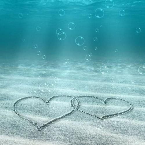  دیگه یادم نی کی از زندگی خسته نبودم