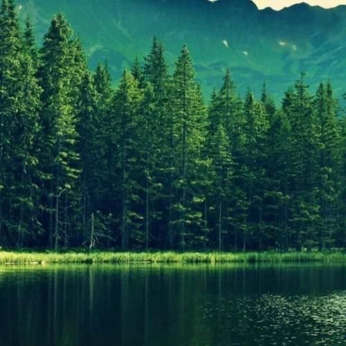 وقتی که من غرق میشدم تو دریا
