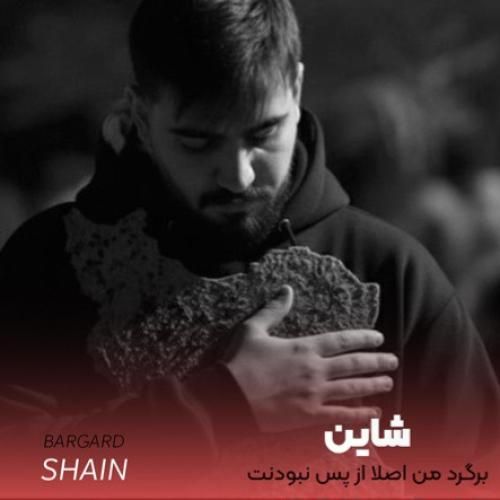 دانلود آهنگ جدید برگرد من اصلا از پس نبودنت بر نمیام از شاین