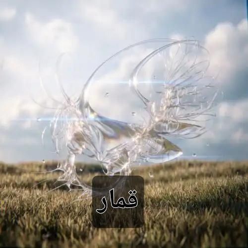 فرزاد قدیمی قمار