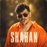 دانلود آهنگ جدید دو تایی از شاهان