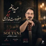 دانلود آهنگ جدید میدونم دیگه منو دوست نداری از حمید سلطانی