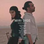 دانلود آهنگ جدید میری دیگه از نوید مولوی دانلود آهنگ جدید میری دیگه از نوید مولوی